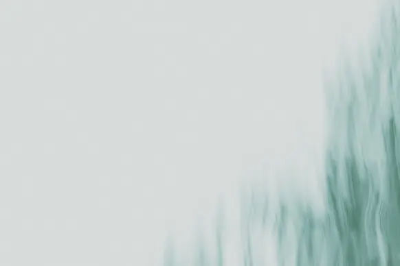 カジノ ワイルド トルネード サポート